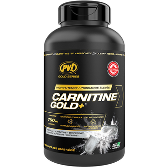 PVL Gold Series L-Carnitine Gold+ *VALUE SIZE* - 228 Capsules