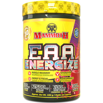 Mammoth EAA Energize - 450 Grams